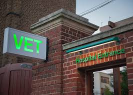 We pride ourselves on the warm, welcoming, family atmosphere of our clinic and the genuine affection we have for our clients and their animal companions. Rvc Small Animal Veterinary Practice And Hospital