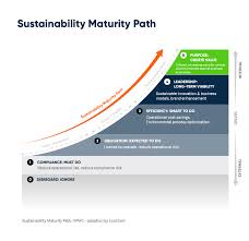 Maturity is a noun form of mature, which is. Sustainability Maturity Model How Far Do You Go For The Planet Ecochain