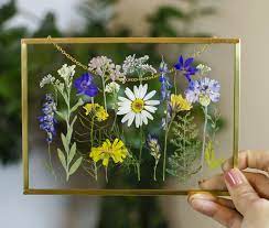 Pressed flowers in glass frame. Pressed Flower Frame Botanical Hanging With Pressed Flowers In Floating Frame Other Home Decor Home Garden