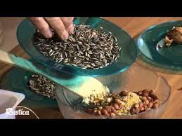 Realiser Des Boules De Graisses Pour Les Oiseaux Youtube Nourriture Oiseaux Mangeoires Pour Oiseaux Faites Maison Fabriquer Mangeoire Oiseaux