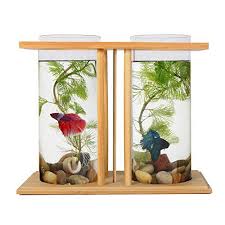 Fish Bowls Bamboo Segarty Unique Cool Design Small Square Glass Vase Creative Aquarium Kit With Gr Tropical Fish Aquarium Cool Fish Tanks Fish Tank Decorations