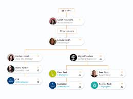Org Chart In 2020 Org Chart Organizational Chart Design Chart Infographic