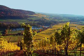 Search 360 ipsheim, bavaria, germany architects and building designers to find the best architect or building designer for your project. Weinland Mittelfranken 1 Giorno Ipsheim Germany Dlt Travel