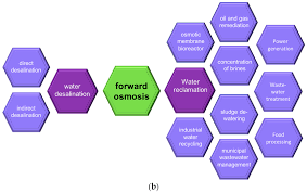 The simplest case, when only two the number of hydrogen bonds formed by a molecule of liquid water fluctuates with time and temperature.37 from tip4p liquid water simulations at 25 °c. Water Free Full Text Recent Progresses Of Forward Osmosis Membranes Formulation And Design For Wastewater Treatment Html