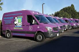 Find a pet groomer near you. Mobile Pet Grooming Torrance Lucky Dawg Salon Grooming