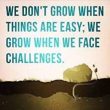 Face Your Challenges And Thrive In The Chaos Motivational Picture Quotes Team Quotes Motivational Quotes