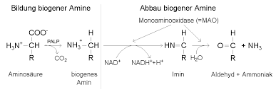 Endogene biogene amine sind z.b. Http Www Medi Learn De Seiten Errata Pdf Bc2 S14 Pdf