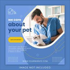 Modello Dell Insegna Della Posta Del Instagram Di Servizio Di Cura Degli Animali Domestici Pet Care Banner Design Layout Banner Template