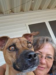 Regina for dog grooming and nail trimming