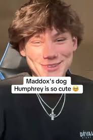 Maddoxdog