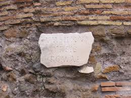 Image result for Umbilicus