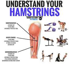 Will 4 Exercises Build And Strengthen Glutes And Hamstrings Yes We Have The Workout Here Gymguider Com Hamstring Muscles Hamstring Workout Explosive Workouts