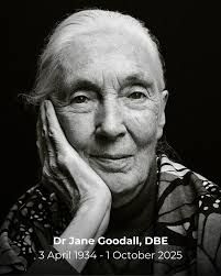 RIP Legend and Visionary Jane Goodall. It's with a heavy heart to lose a  legend who spoke for the voiceless with such eloquence and passion. 🕊️  🪽🙏🌹♥️ Jane Goodall didn't just study