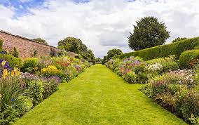 Check spelling or type a new query. Border Gardening How To Plant A Herbaceous Perennial Border David Domoney