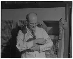 Norman Raymond Frederick Maier