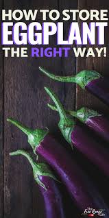 You will want to make sure to use it as soon as possible though as this will speed up the ripening process and cause it to get mushy quickly. How To Store Eggplant For The Best Results Hint Not The Fridge How To Store Eggplant Eggplant Eggplant Recipes Easy