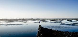 Cbeauty provides guests with knowledge and expertise from an amazing staff with years of experience. Lundenbergsand Hideaway Spa S Wellnesshotel Northern Sea Schleswig Holstein Germany