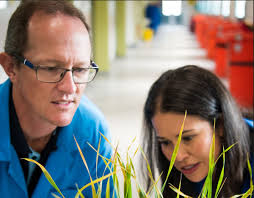 Meet Gavin Hunter and Melania Figueroa: Plant pathologists paving the way  for better pest control