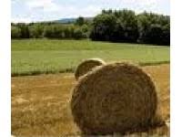 Maybe you would like to learn more about one of these? Venituri Din ActivitÄÈi Agricole Termene De PlatÄ Theexperts Ro