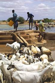 Somalia On The Brink East Africa Africa Somalia