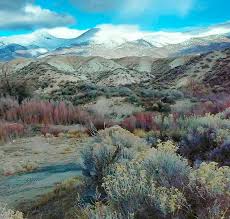 South fork state recreation area boasts flourishing meadows and rolling hills filled with northeastern nevada wildlife. 2 37 Acres Rye Patch Land And Resort Lovelock Nv Sold Vacant Land Usa