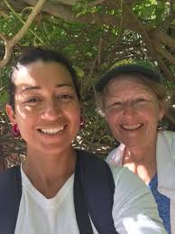 A pair of Rock pigeons, beautiful couple. Relaxing