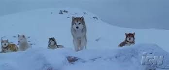 Aveti posibilitatea sa urmariti mai multe filme online subtitrate in limba romana La Antena 1 Vor Fi Minus 25 De Grade Astazi De La 20 30 Antena 1