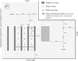 Pest and predator control is essential to maintain biodiversity in the countryside. Pest Regulation And Support Of Natural Enemies In Agriculture Experimental Evidence Of Within Field Wildflower Strips Sciencedirect