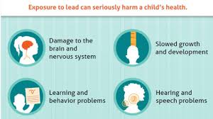 Image result for Lead Poisoning