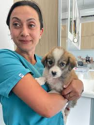 To brighten up a damp day.