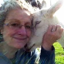 Daryl Conner (yankeegroomer)