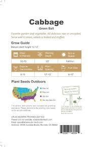 Cabbage -green Ball Vegetable Seeds Over 800 Pills