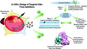 Maybe you would like to learn more about one of these? Brain Grants Permission Of Access To Zika Virus But Denies Entry To Drugs A Molecular Modeling Perspective To Infiltrate The Boundary Rsc Advances Rsc Publishing