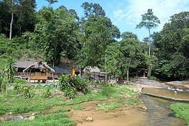 Bukit mertajam tempat riadah makin cun. Housing Project Proposed Within Forest Reserve The Star