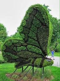 Quinn On Twitter Formschnitt Garten Pflanzen Kunst Gartenkunst