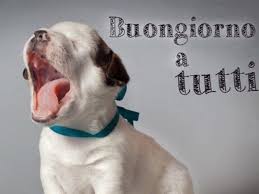 Le Migliori Immagini Di Buongiorno Divertenti Per Whatsapp Immagini di buongiorno con frasi divertenti da scaricare gratis. immagini di buongiorno divertenti