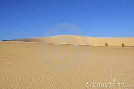 Use our website to book apartment 2427 sand dunes resort condo. Sand Dunes Stock Images Image 12533834 Sand Dunes Dune Sand