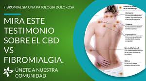 Clauw describes the syndrome as a diffuse problem of sensory volume control such that patients have a lower threshold of pain and of other stimuli, such as heat, noise, and strong odors. Mira Este Testimonio De Fibromialgia Y El Cbd Oil Youtube