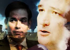 Editorial Illustrations: 2015 - Lisa Larson-Walker