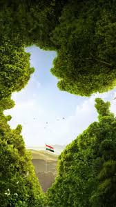 Download India Wallpaper By Dhruvi007 4a Free On Zedge Now Browse Millions Of Popular Fla Indian Flag Wallpaper Indian Army Wallpapers Indian Flag Colors