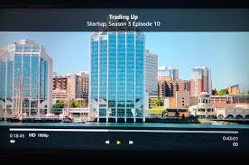 A palm tree was planted by halifax regional municipality's parks department at sullivan's pond in dartmouth, n.s. Never Thought I D See Halifax As A Stand In For Miami How Is The Palm Tree Doing Anyway Halifax