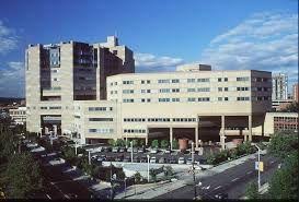 It is owned and operated by the yale new haven health system. Ynhh Yale New Haven Hospital Office Photo Glassdoor Co In