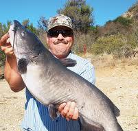 Channel Catfish Strategies for Southern California - In ...