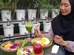Maybe you would like to learn more about one of these? Bukan Cuma Bisa Petik Sayur Griya Hidroponik Sajikan Menu Sehat