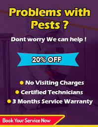 Furthermore, we provide this service at market leading. Pest Control In Ramamurthy Nagar