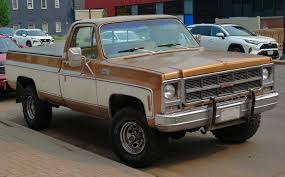 Image result for Brown 1979 GMC