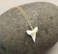 Dainty Gold Shark Tooth Necklace On Silver Rose Or 14k Gold Fill Chain Layering Necklaces By Layered And Long Ln608 Shark Tooth Necklace Tooth Necklace Necklace