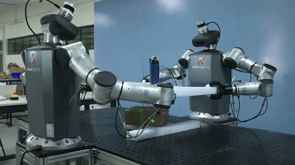 Bimanual Humanoid — image 3