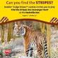 Nashville Zoo Celebrates the Magic of Stripes this event image