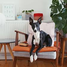 Pin On Interiors